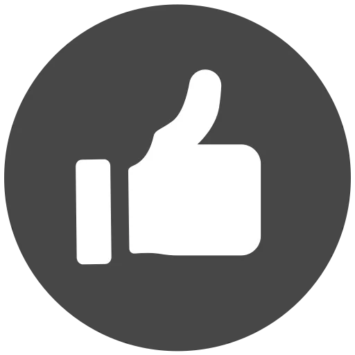 favorite_14240327 Thumbs-up icon representing professionalism