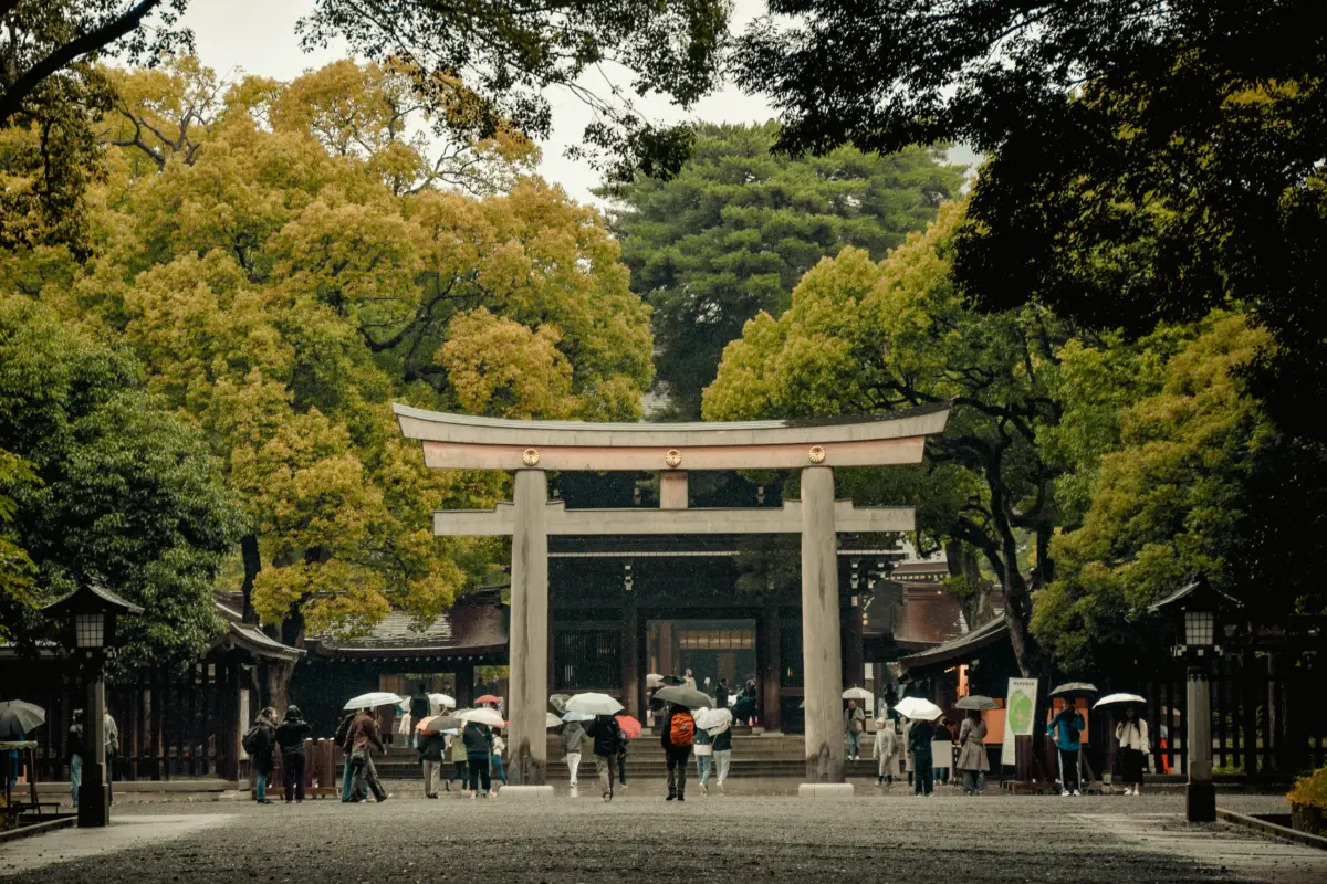 aestelle-4s3IVoGh7HA-unsplash Tokyo tourist attractions – Meiji Shrine torii gate in forest