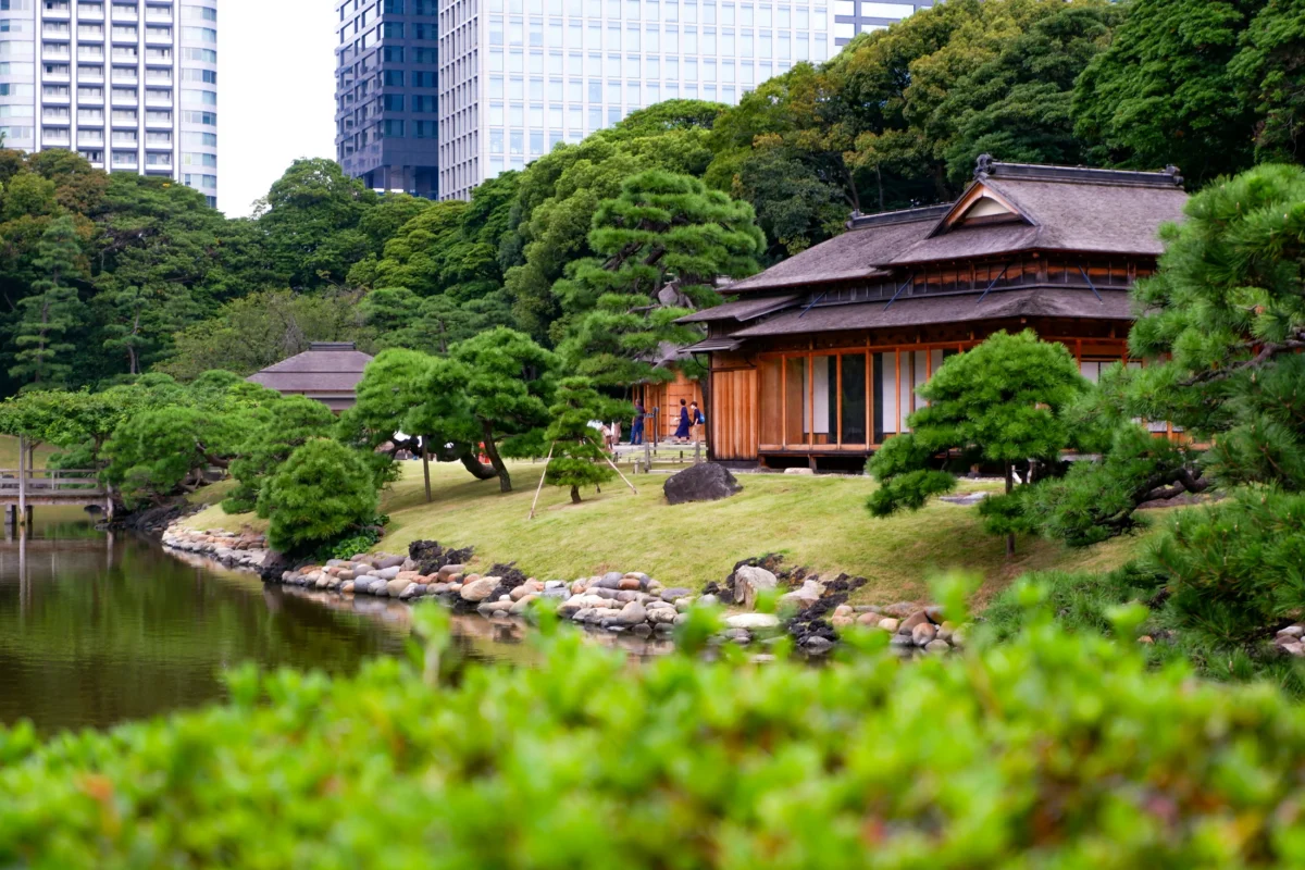 traditional japanese garden and house in tokyo cultural experience