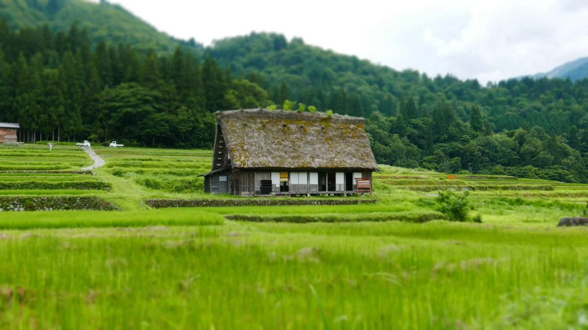 Traditional Japanese countryside village near Tokyo with rice fields and rural scenery