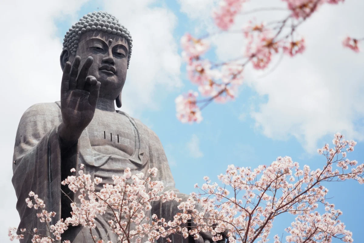 shino-nakamura-tRAbz5MkH7g-unsplash Japanese Buddha statue and cherry blossoms during a cultural tour in Japan