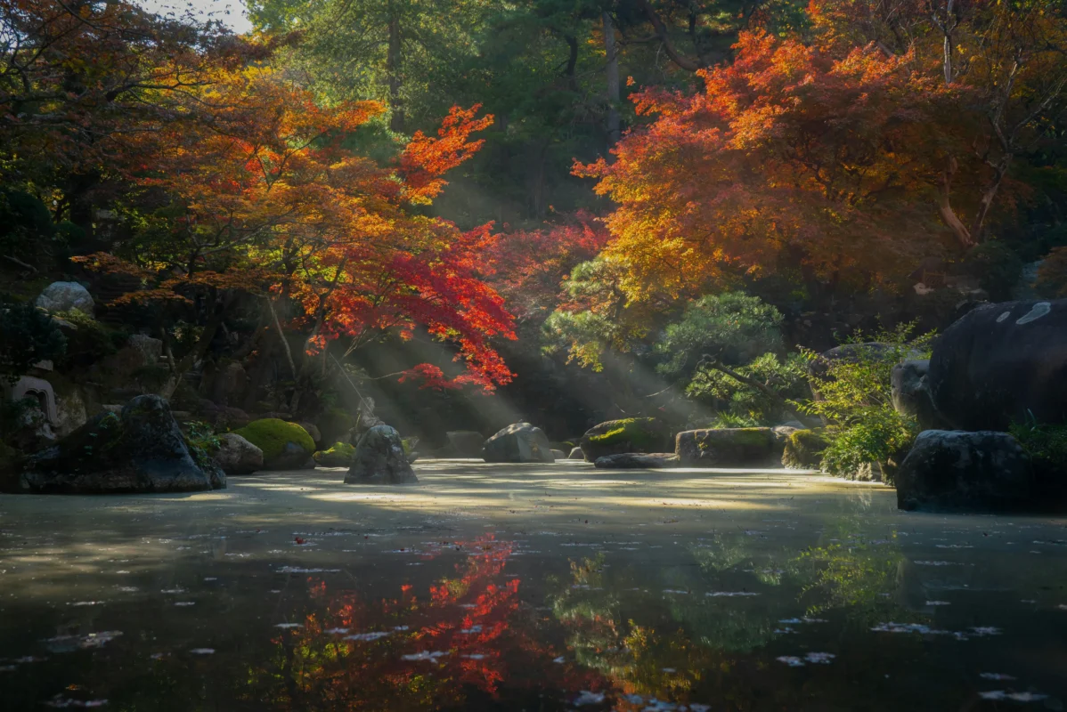 lucas-calloch-P-yzuyWFEIk-unsplash Japanese garden with autumn leaves, rocks, and a reflective pond