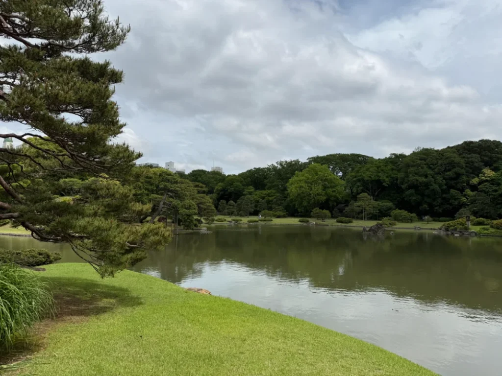 Japanese garden with a pond and traditional landscape in Tokyo