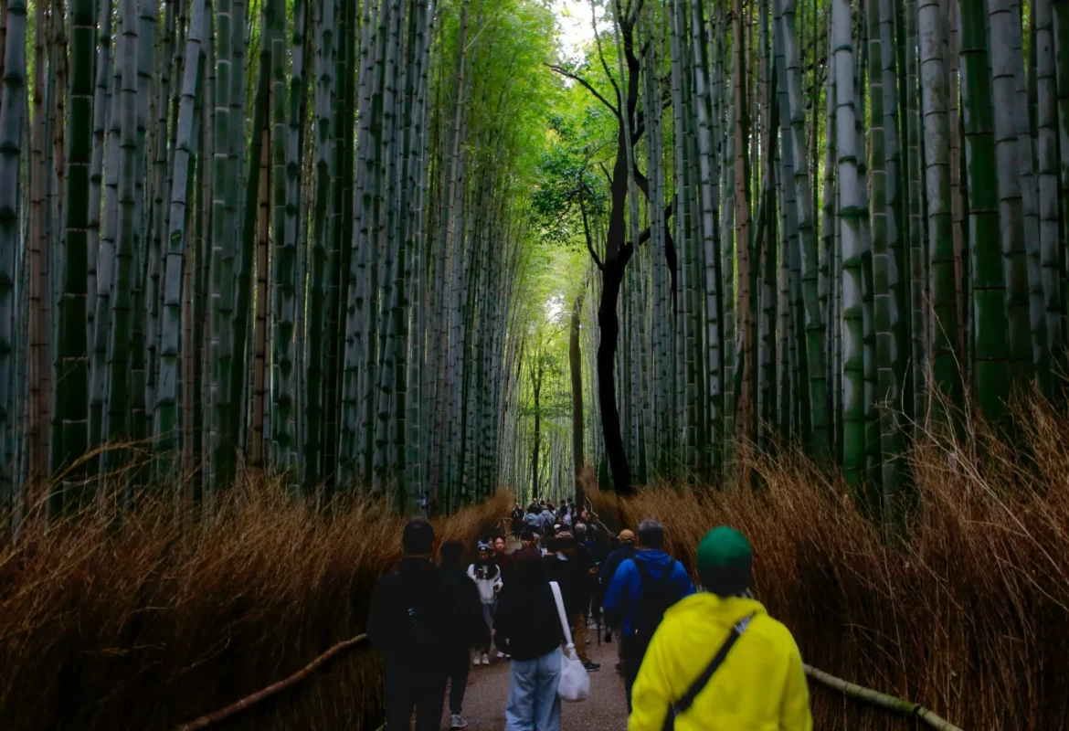 bo-zhang-ujI7GZNpHbE-unsplash Visitors walking through the Arashiyama bamboo grove in Kyoto